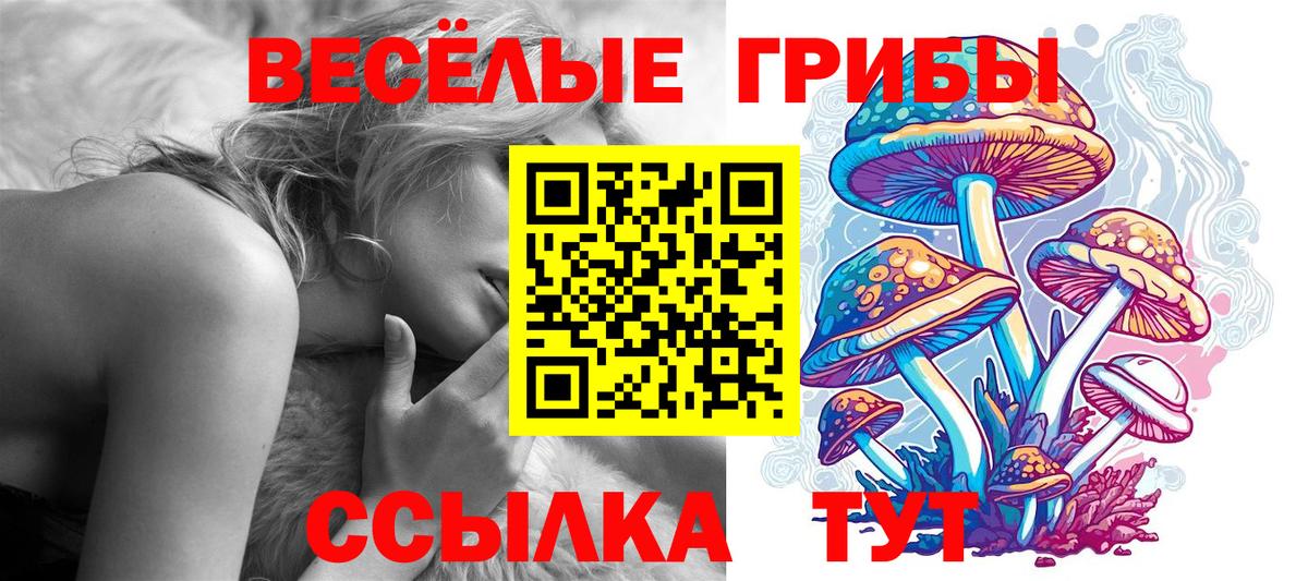 Псилоцибиновые грибы Psilocybe  Вход с VPN  Уварово 