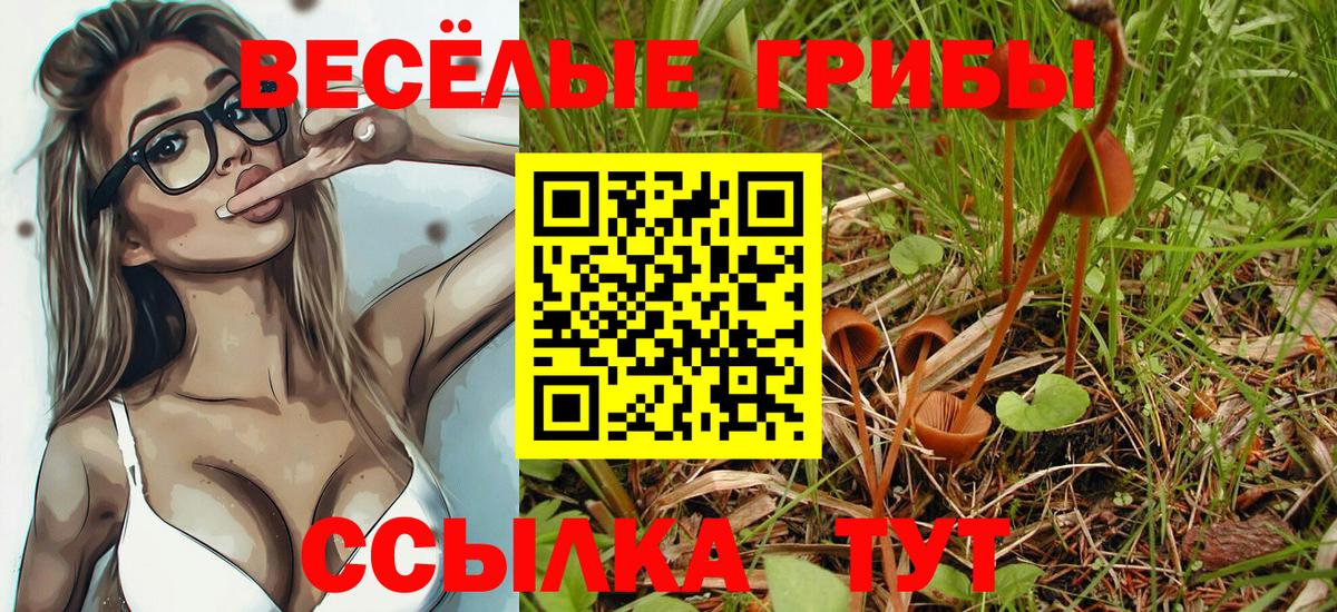 Псилоцибиновые грибы прущие грибы Уварово
